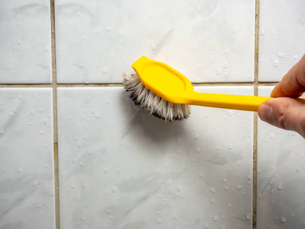 Best Preventive Mold Services in Halfway, MD
